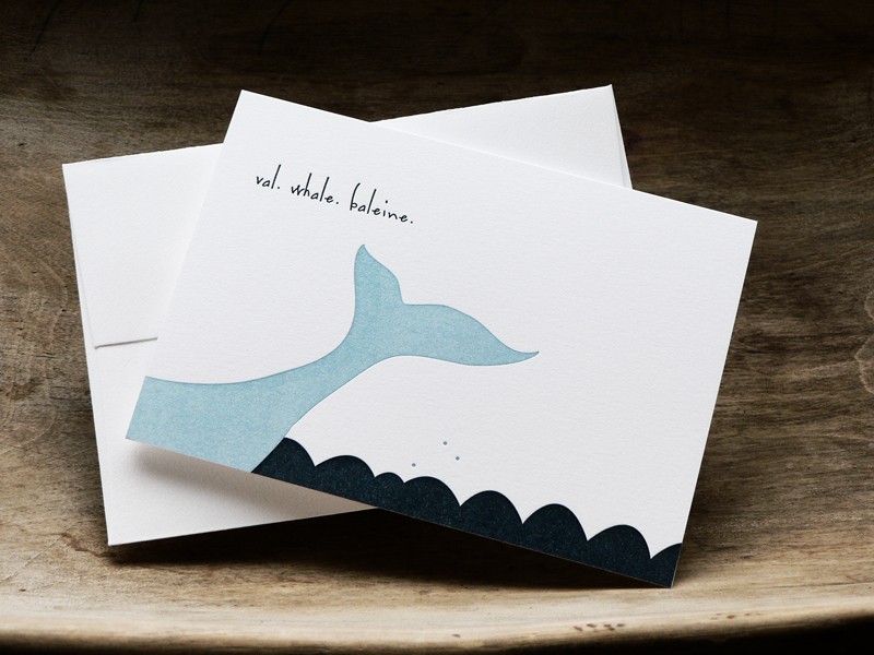 salt and syrup whale's tail card | simple pretty