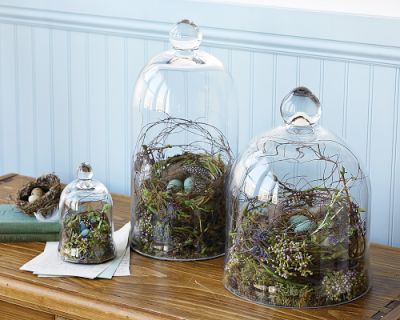 williams-sonoma decorative cloches | simple pretty