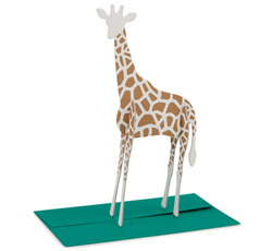 giraffe animal postcard at MOMA | simple pretty