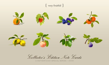 very fruitful option for felix doolittle mother's day notecard set | simple pretty