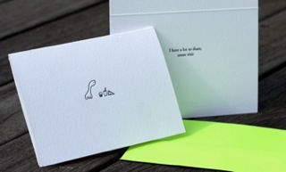 paper medium, nss 2009 | simple pretty