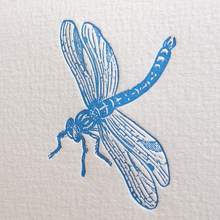 stamperia dragonfly notecard | simple pretty