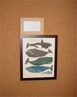 enormous champion whale print, nss 2009 | simple pretty