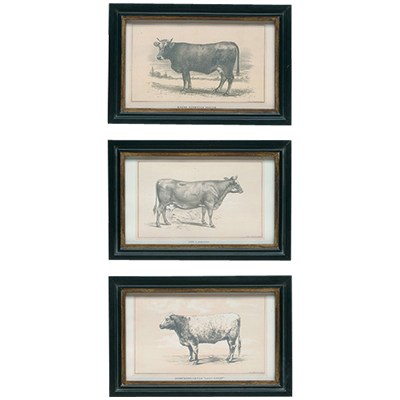 cow prints at nell hill's | simple pretty