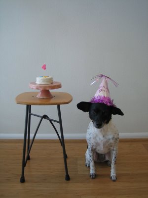 img_5445jpg wilma and wilma's 4th birthday cake | simple pretty