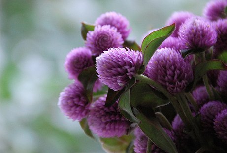 autumn bouquet with bokeh | simple pretty