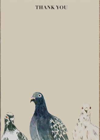 happy menocal pigeon notecards | simple pretty