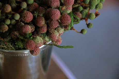 berzelia bouquet in julep cup | simple pretty