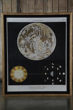 astronomical chart at mecox gardens | simple pretty