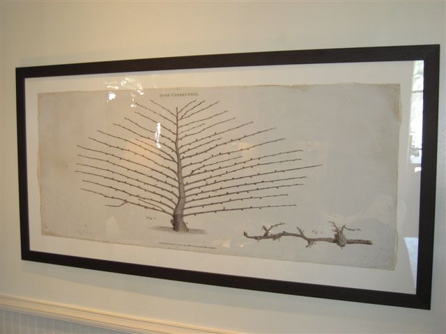 taccani espalier print at mecox gardens | simple pretty